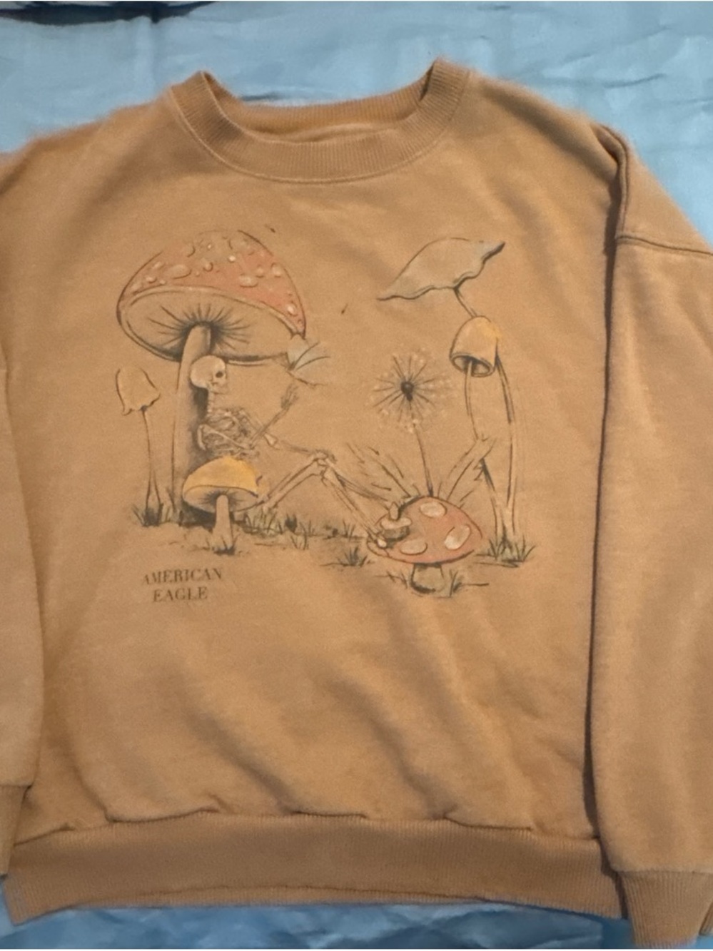 American Eagle Outfitters Tan Graphic Crewneck Sweatshirt with Mushroom Art